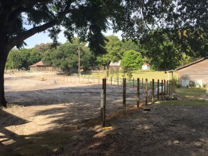 Lowes New Fence